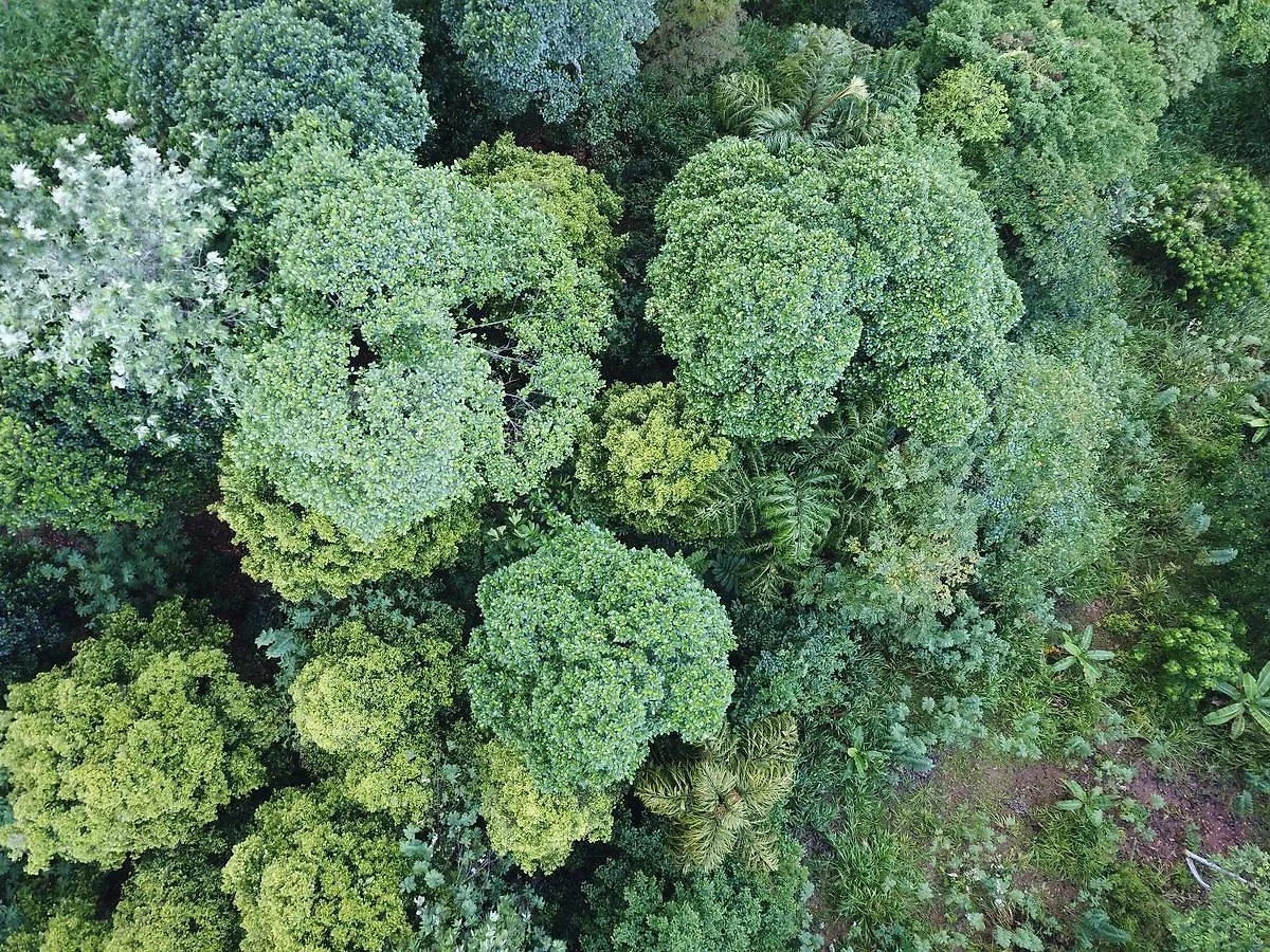 Отель Tea Heights Канди