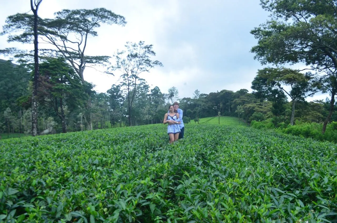 Tea Heights Hotel Kandy